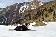 32 Nika si rinfresca nella neve